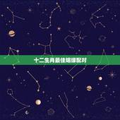 十二生肖最佳姻缘配对 婚配八字合婚表