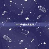 2022年什么虎五行，虎年属什么五行