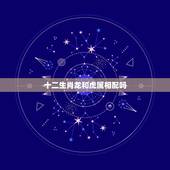 十二生肖龙和虎属相配吗，属龙和属虎的相配吗