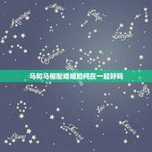马和马相配婚姻如何在一起好吗，男马和女马属相合不合