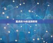 属虎的19年运势咋样