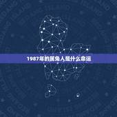 1987年的属兔人是什么命运，1987年属兔的更佳配偶