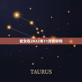 蛇女在2022年11月份好吗，生肖蛇人一生五个贵人