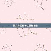鼠女羊的和什么属相相合，生肖鼠和生肖羊婚姻