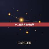 十二生肖岁数排名表，2022 年十二生肖岁数表