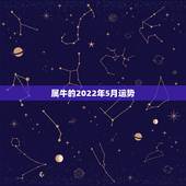 属牛的2022年5月运势，属牛女2021年运势及运程每月运程