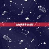 生肖属猪今日运势，属猪今年运程