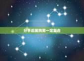 分手后属狗男一定复合，属狗男分手后会后悔吗