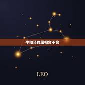 牛和马的属相合不合，生肖马与牛合得来吗