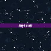 属猪今日运势，属猪的今年运气怎样