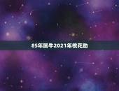 85年属牛2021年桃花劫，1985属牛人2021年全年运势