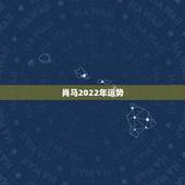 肖马2022年运势，2021年属马男人的全年运势