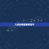 几点的老鼠最有福气，老鼠晚上几点最猖狂