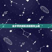 金步甲的婚配流程图怎么画，金步甲的图片