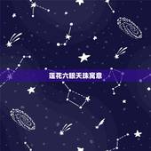 莲花六眼天珠寓意，六瓣莲花天珠代表什么意思