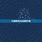 82属狗为什么老是不顺，82年四月初八生人属狗后背纹了条龙怎么老是不顺