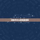 老鼠与什么属相最相配，属老鼠和什么属相最不配？