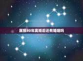 属猴80年离婚后还有婚姻吗，属猴二婚会幸福吗