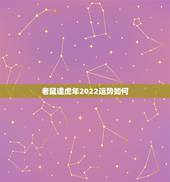 老鼠逢虎年2022运势如何，属鼠的2022 年运势如何