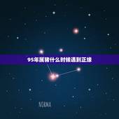 95年属猪什么时候遇到正缘，1995年属猪的人多少岁会遇到另一半