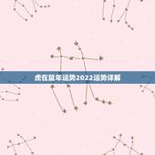 虎在鼠年运势2022运势详解，86属虎一生有几次婚姻