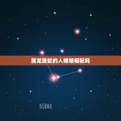 属龙属蛇的人婚姻相配吗，属龙属蛇的相声相克
