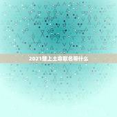 2021壁上土命取名带什么，2021年五行属什么命