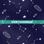 生肖猪下半年的感情运势，2022下半年感情运势