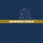 属猪的属相婚配什么属相合适，95年属猪男的和什么属相最配
