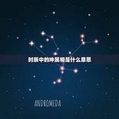 时辰中的冲属相是什么意思，属相相冲是什么意思？