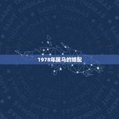 1978年属马的婚配，我是1978年出生的属马请问我跟哪个属相般配