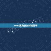 1987属兔什么时候得子，属兔的1987年生什么时候和房子有缘？