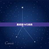 属虎是19几年的，属虎的是多大了？九几年的？
