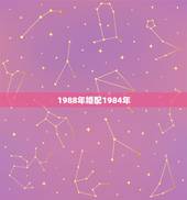 1988年婚配1984年，88年属龙的女生和84年属鼠的男生相配么？婚