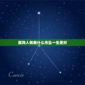 属狗人佩戴什么吊坠一生更好，生肖狗的适合戴什么吊坠