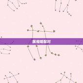 属相婚配对，关于属相婚配