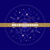 属猴从事什么行业容易成功，1980年属猴女适合什么职业