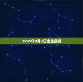 1995年9月2日出生属相，属猪的女的1995年9月2号出生在五型里面