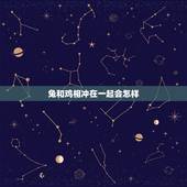 兔和鸡相冲在一起会怎样，鸡和什么生肖相冲