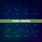 牛和狗在一起财运好吗，老公85年牛，我88年龙，女儿12年龙，明年农历