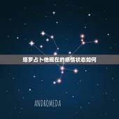 塔罗占卜他现在的感情状态如何，塔罗占卜：目前的感情应该怎么去对待
