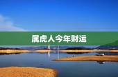 属虎人今年财运，农历生日看一生命运