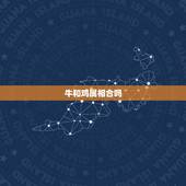牛和鸡属相合吗，鸡猪属相合吗