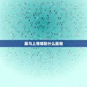 属马上等婚配什么属相，属马的和什么属相最配 属马的属相婚配表？