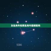 女生肖牛和男生肖牛能婚配吗，虎生肖女和牛生肖男相配吗？