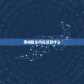 属相鼠车内应该放什么，72年生属鼠人是什么命？车内挂件适合哪种