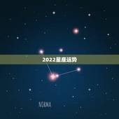 2022星座运势，请大师算命，八字，称骨看今年事业财运？