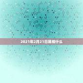 2021年2月21日属相什么，2021年28岁属什么生肖