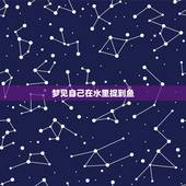 梦见自己在水里捉到鱼，梦见自已在水里抓到一条鱼