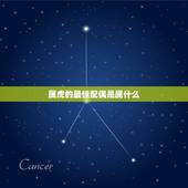 属虎的最佳配偶是属什么，属虎的人配什么生肖最合适